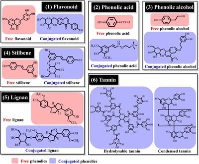 Comprehensive review of composition distribution and advances in profiling of phenolic compounds in oilseeds